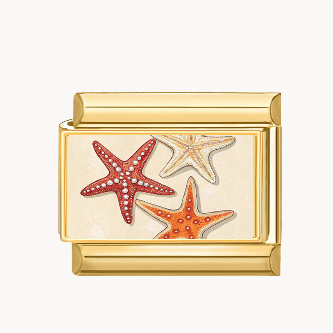 LA PLAGE ETOILE DE MER